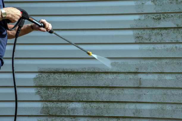 Best Driveway Cleaning and Restoration in USA